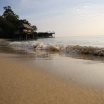 фото из отзыва ID 1716715