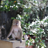 фото из отзыва ID 1716715