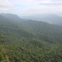 фото из отзыва ID 1716715