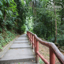 фото из отзыва ID 1716715