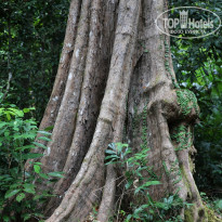 фото из отзыва ID 1716715