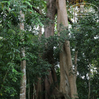 фото из отзыва ID 1716715