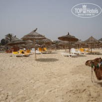 фото из отзыва ID 1716958