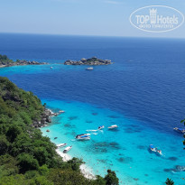 фото из отзыва ID 1717094