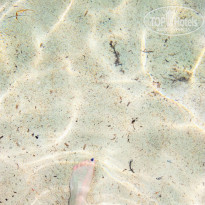 фото из отзыва ID 1717097