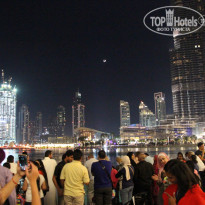 фото из отзыва ID 1716956