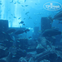 фото из отзыва ID 1716956