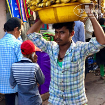 фото из отзыва ID 1717163