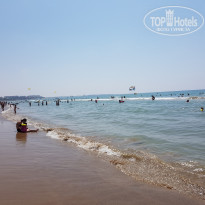 фото из отзыва ID 1716606