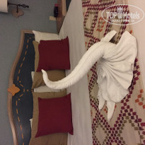 фото из отзыва ID 1715804