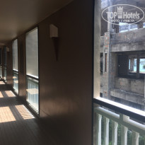 фото из отзыва ID 1717209