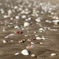 фото из отзыва ID 1717229