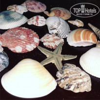 фото из отзыва ID 1717229