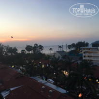 фото из отзыва ID 1717447