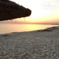 фото из отзыва ID 1717541