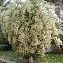 фото из отзыва ID 1717547