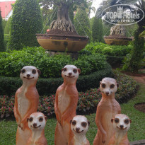 фото из отзыва ID 1717572