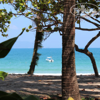 фото из отзыва ID 1717620