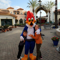 фото из отзыва ID 1717660