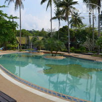 фото из отзыва ID 1717705