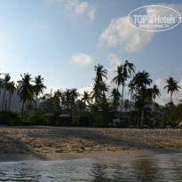 фото из отзыва ID 1717705