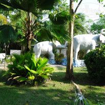 фото из отзыва ID 1717705