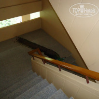 фото из отзыва ID 1717705