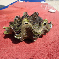 фото из отзыва ID 1717705