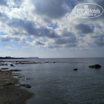 фото из отзыва ID 1717720