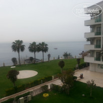 фото из отзыва ID 1717738