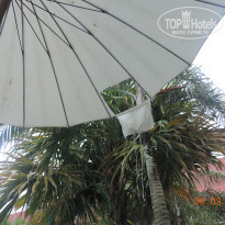 фото из отзыва ID 1717783