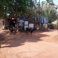 фото из отзыва ID 1717838