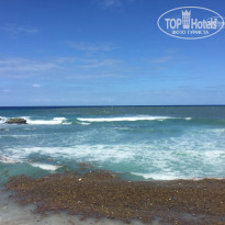 фото из отзыва ID 1717902