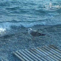 фото из отзыва ID 1715310