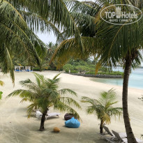 фото из отзыва ID 1717937