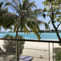 фото из отзыва ID 1717937