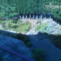 фото из отзыва ID 1715310