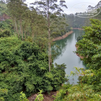 фото из отзыва ID 1718236