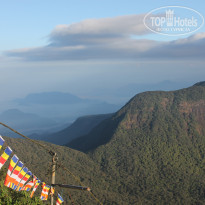 фото из отзыва ID 1718236