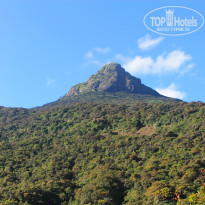 фото из отзыва ID 1718236