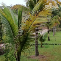 фото из отзыва ID 1718254