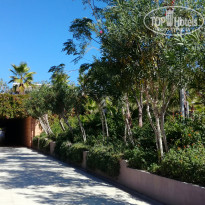 фото из отзыва ID 1718282