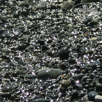 фото из отзыва ID 1718308