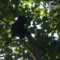 фото из отзыва ID 1718333