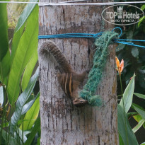 фото из отзыва ID 1718333