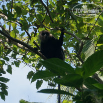 фото из отзыва ID 1718333