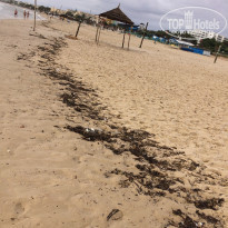 фото из отзыва ID 1718416