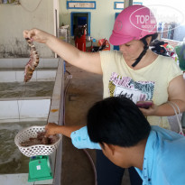 фото из отзыва ID 1718545