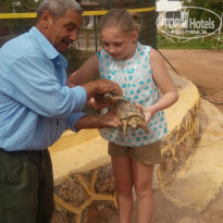 фото из отзыва ID 1718662