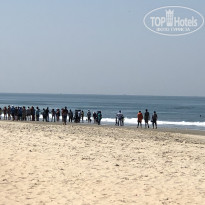 фото из отзыва ID 1718578